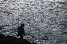 너울속 낚시 여심 인터넷바다낚시 - 대한민국 바다낚시 포탈사이트