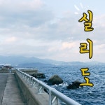 #2. 10년만에 찾은 마산 실리도 인터넷바다낚시 - 대한민국 바다낚시 포탈사이트