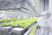 상세 < Q & A < 정시 | 연암대학교