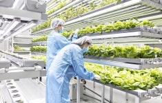 상세 < Q & A < 전공심화과정 | 연암대학교