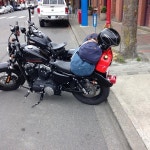 Union Pacific Coffee Co Ltd - 537 Herald Street에서의 사진