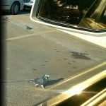 I Heart Cafe - 방문자 52명의 팁 3개에서의 사진