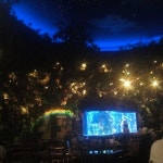 Rainforest Cafe - 방문자 2530명의 팁 40개에서의 사진