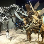 Denver Museum of Nature and Science - Denver에서 과학 박물관일 Denver Museum of Nature and Science