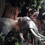 Rainforest Cafe - 방문자 2530명의 팁 40개에서의 사진