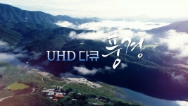 UHD 다큐 풍경 - Apple TV (KR)