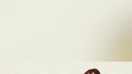 パリジェンヌの田舎暮らし フランス手仕事の世界 - Apple TV