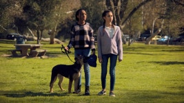 Watch Puppy Place - Apple TV+
