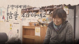 고양이에게 밥을 주지 마세요 - Apple TV