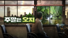 주말은 오지 - Apple TV