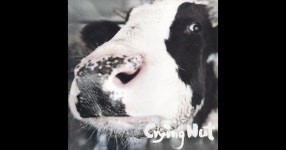 OK 목장의 젖소 - 크라잉넛의 앨범 - Apple Music Apple Music에서 감상하는 크라잉넛의 OK 목장의 젖소