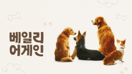 베일리 어게인 - Apple TV