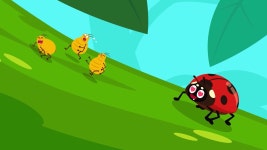 Beneficial Insects and Harmful Insects - 주니토니 영어 지식 돋보기 꼬물꼬물 곤충(시즌 1, 에피소드 10) - Apple TV (KR)