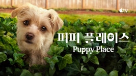 퍼피 플레이스 - Puppy Place 보기 - Apple TV