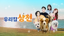 우리집 상전 - Apple TV