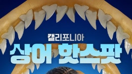 캘리포니아 상어 핫스팟 - Apple TV