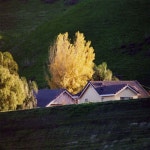 251 (Solo) - AM: 노래 가사, 뮤직 비디오 및 콘서트