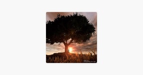 Gymnopédie III Grave - Seed A.I.의 노래 - Apple Music Apple Music에서 만나는 Seed A.I.의 Gymnopédie III Grave