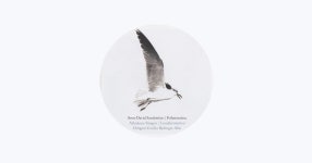 Jeanette Bjurling - Apple Music Apple Music에서 만나는 Jeanette Bjurling