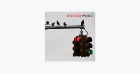 Voice - Kerogen의 노래 - Apple Music Apple Music에서 만나는 Kerogen의 Voice
