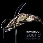 Summer Sky - Honeyroot: 노래 가사, 뮤직 비디오 및 콘서트