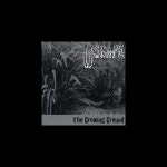 The Growing Ground - Oscape의 앨범 - Apple Music Apple Music에서 감상하는 Oscape의 The Growing Ground