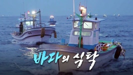 바다의 식탁 - Apple TV