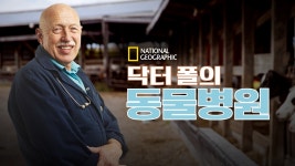 닥터 폴의 동물병원 - Apple TV