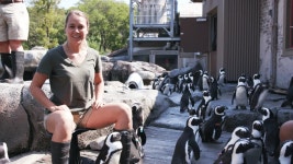 Sams Zookeeper Challenge - Apple TV (SA)