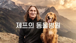 제프의 동물병원 - Apple TV