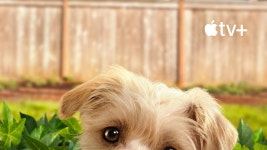 퍼피 플레이스 - Puppy Place 보기 - Apple TV
