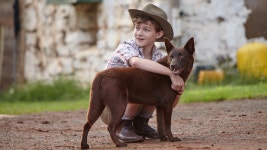 Blue mon chien dAustralie - Apple TV (FR)