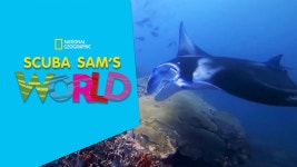 Scuba Sams World - Apple TV
