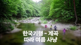 한국기행 - 계곡 따라 여름 사냥 - Apple TV