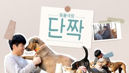 동물극장 단짝 - Apple TV