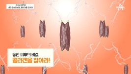 수명 단축, 동안 외모의 핵심! 콜라겐이 답이다! - 100세 프로젝트(시즌 1, 에피소드 5) - Apple TV (KR)