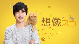 想像ネコ ～僕とポッキルと彼女の話～ - Apple TV