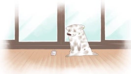 마루위구름 - Apple TV (KR)