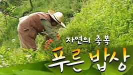 자연의 축복 푸른밥상 - Apple TV