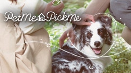 Pet Me Pick Me - Apple TV
