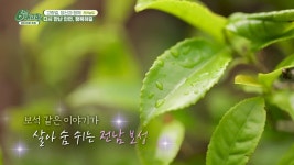 홍보장사 만만세 / 맛나는 거리 / 오!만보기 - 6시 내고향(시즌 1, 에피소드 7047) - Apple TV (KR)