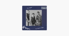 The Vogues의 My Special Angel - Apple Music에서 만나는 노래 The Vogues의 My Special Angel