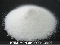 L-lysine HCL - Jizhou Huaheng Biotech Co., Ltd L-lysine HCL -  Jizhou Huaheng Biotech Co., Ltd