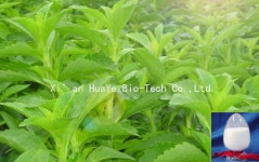 Stevioside - Xi’an HuaYe Bio-Tech Co.,Ltd. Stevioside -  Xi’an HuaYe Bio-Tech Co.,Ltd.