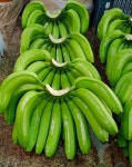 Fresh Bananas - SRS International Impex