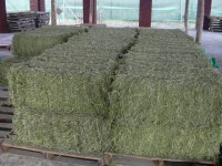 Alfalfa Hay Bales For Animal Feeds - Agroversum Kft - ecplaza.net
