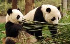Beijing Private Tours In English - China Sunny Tour - ecplaza.net