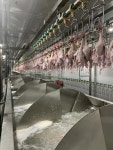 Halal Full Set Of Poultry Slaughter Production Line - ZhongDa Slaughtering Machinery Manufacture Co., Ltd