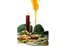 Oil Soluble Soya Lecithin Powder - Shandong Lanhe Bio-Tech Co.,Ltd.