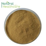 Rose Hips Extract / Vitamin C 5% / Polyphenols 5% Vitamin C Tablet 1000mg With Rose Hips Extracts - Shaanxi Natural Healthcare... 